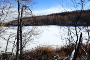 雪に覆われた池