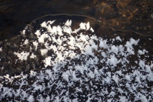 フロストフラワー