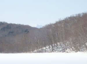 園内の様子と恵庭岳
