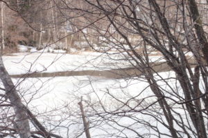 池の解けている部分