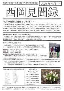 見聞録4月号