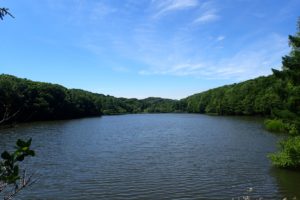 青空が広がる西岡公園の池