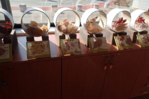 落ち葉の展示コーナーの様子