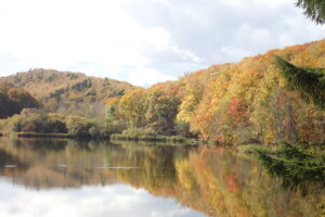 水鏡になって森の紅葉と雲を移した池