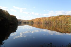 水鏡になった池