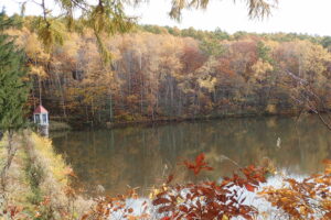 池の様子