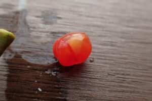 ヤドリギの果実