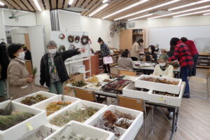 たくさんの自然の素材を選ぶ参加者の皆さん