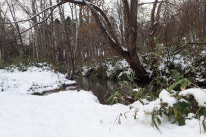 雪景色の川の様子