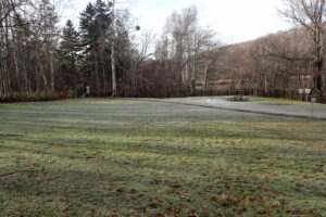 広場の草に降りた霜