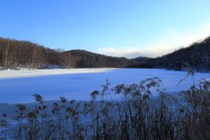 湿原から見た池