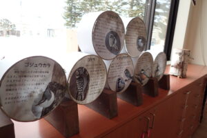 カラ類の見分け方とシマエナガ