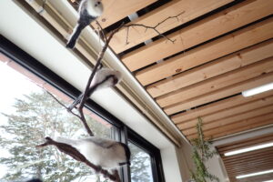 野鳥の羊毛フェルトの模型