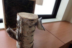 野鳥の羊毛フェルトの模型