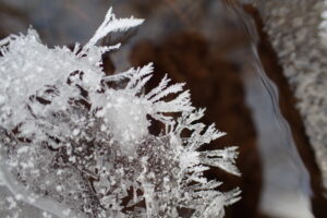 フロストフラワー