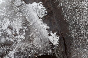 フロストフラワー