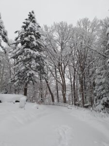 西岡公園　園内状況
