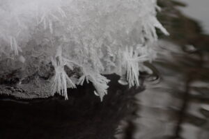 フロストフラワー