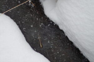 フロストフラワー