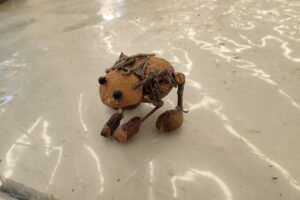 木の実で作ったカエル