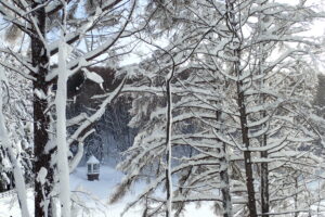 雪に覆われた取水塔と池