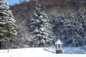 赤い屋根に雪が積もっている取水塔