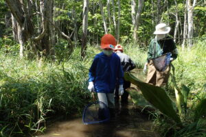 川でガサガサをする調査隊