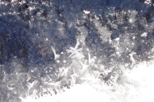 氷の上にフロストフラワーがついている