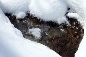 凍った川の上のフロストフラワー