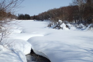 雪に覆われた池