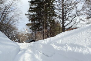 管理事務所の周辺の除雪された園路