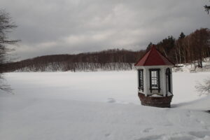 雪に覆われている池と取水塔