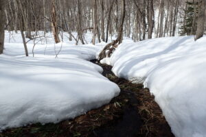小川からちょろちょろ聞こえています。