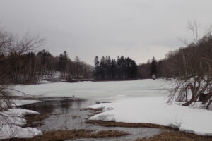 少し融けた池の氷