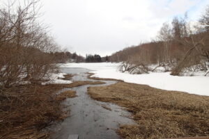 まだ凍っている池と湿原に川が流れ込んでいる