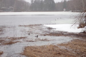氷が少し融け始めた水源地