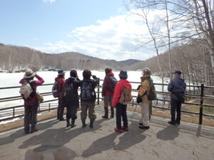 少し融けた池に訪れた水そりを観察する参加者の皆さん
