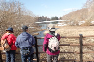 湿原から池に川が流れ込む
