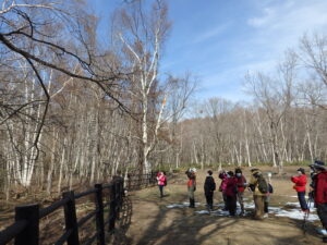 野鳥観察をする皆さん