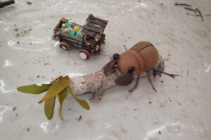 トチノキの果皮で作ったクワガタ