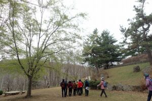 ブナの下に集まる参加者の皆さん