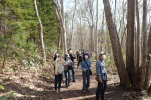 野鳥の観察をする皆さん