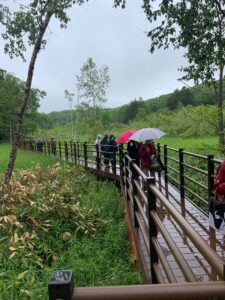 傘をさして散策する参加者の皆さん