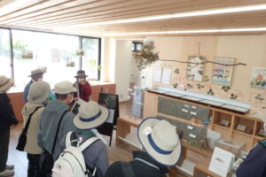 カワセミの説明をするボランティアさん