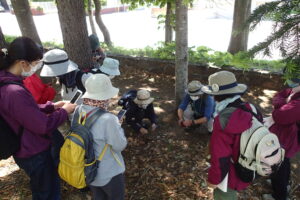 植物の観察をする皆さん