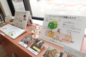 ギンリョウソウの展示