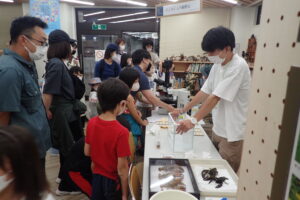 不思議に思ったことを質問する小学生