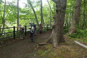 池の周りを散策する参加者の皆さんとボランティアガイドの皆さま