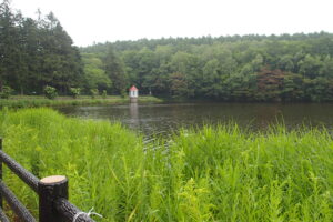 雨の中の取水塔