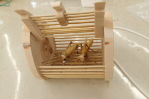 竹と間伐材で作った虫かご